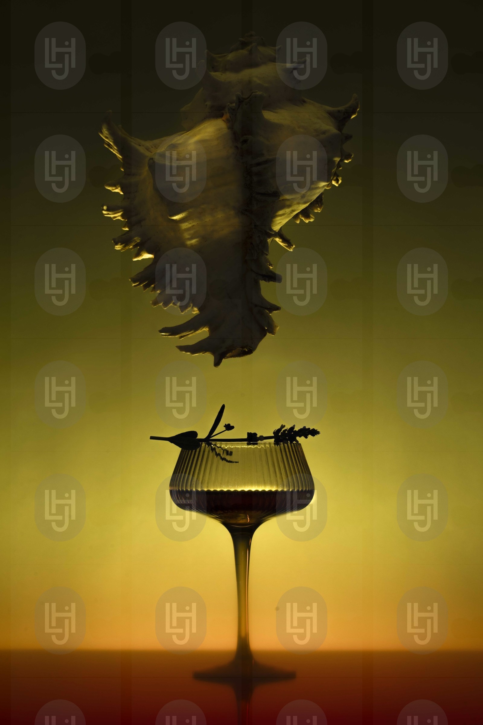 En collaboration avec Elisa Juge-Holtermann