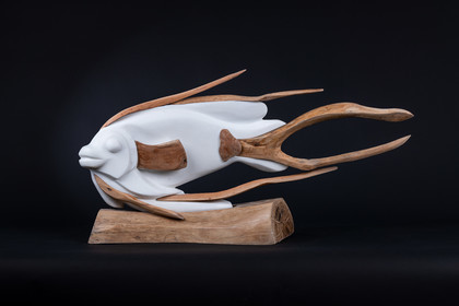 Oeuvre de Cécile de Kock