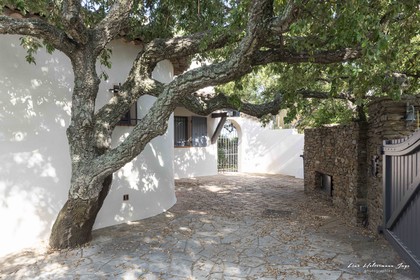 Grimaud