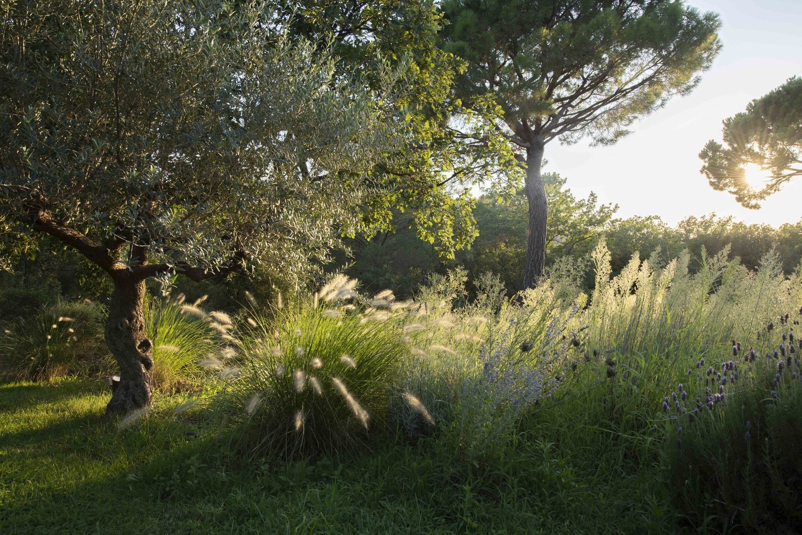 Ramatuelle